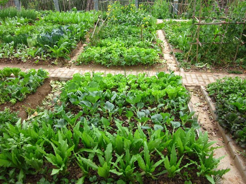 九游网页客户端案例展示五