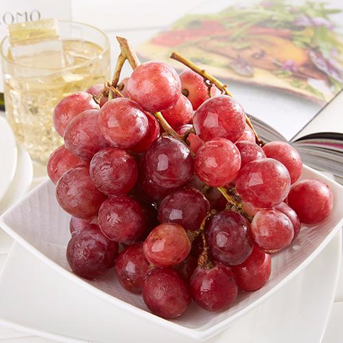 九游网页客户端产品名称五